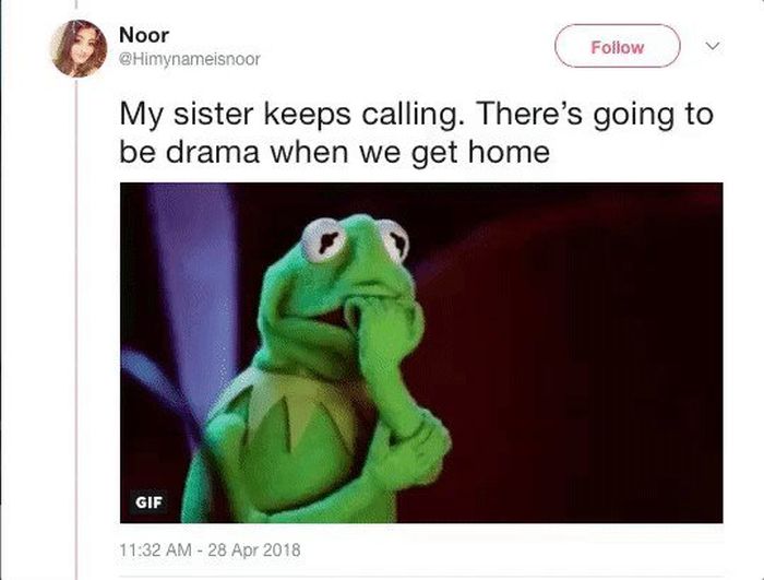 Mom and Daughter Go On A Hilarious Quest For Some Secret Parrots (33 pics)
