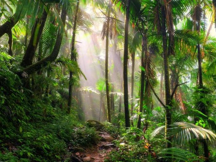 Must See Natural Wonders (26 pics)