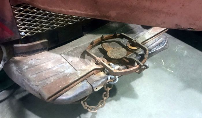 Meet The Terror Gator (10 pics)
