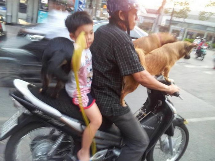 Only In Asia (42 pics)