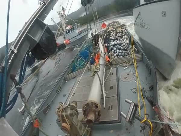 Fishing Boat Defends Its Turf