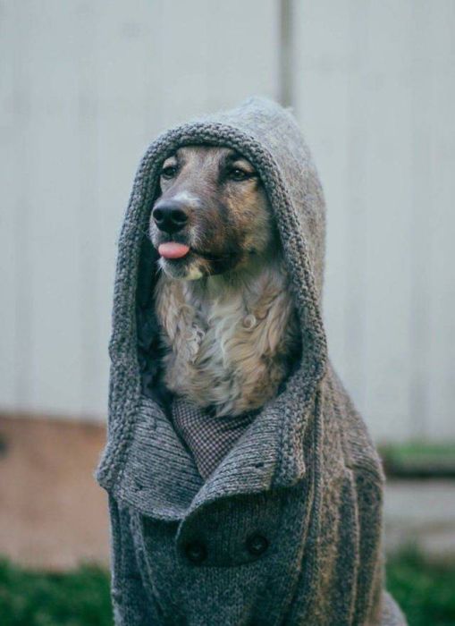 Acid Picdump (91 pics)