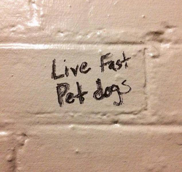 Smart Vandalism (22 pics)