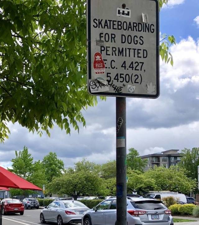 Smart Vandalism (22 pics)