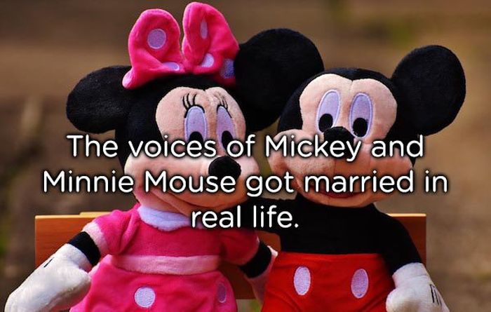 These Facts Are Awesome (25 pics)