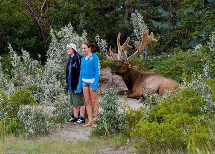 Acid Picdump (92 pics)