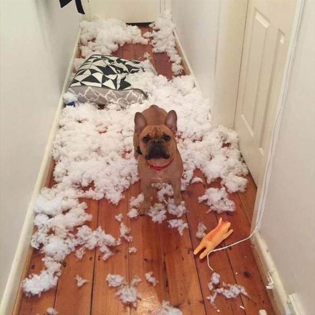Acid Picdump (92 pics)