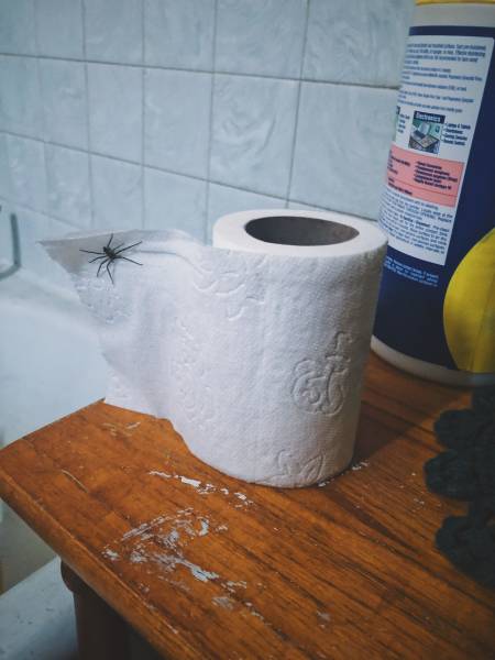 Acid Picdump (92 pics)