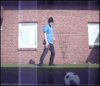 Selection Of Fails (33 gifs)