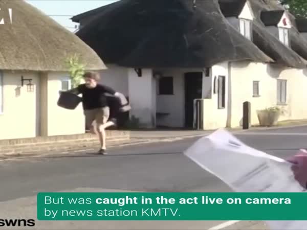Man Carrying Plant Sprints During Report on Major Cannabis Factory