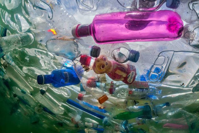 Plastic Is Harmful For Our Planet (16 pics)