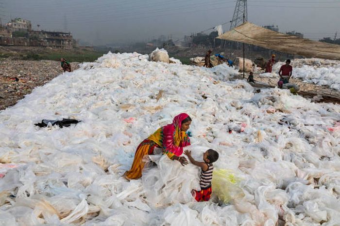Plastic Is Harmful For Our Planet (16 pics)