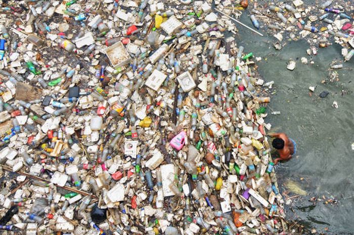 Plastic Is Harmful For Our Planet (16 pics)