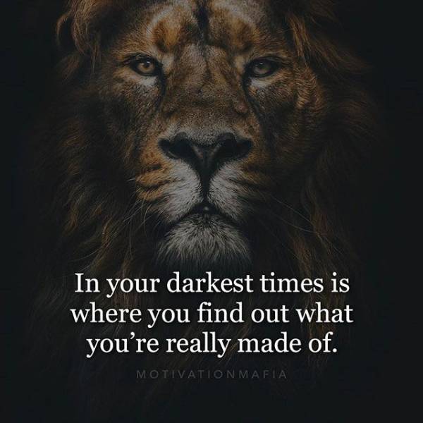 Your Daily Dose Of Motivation (29 pics)