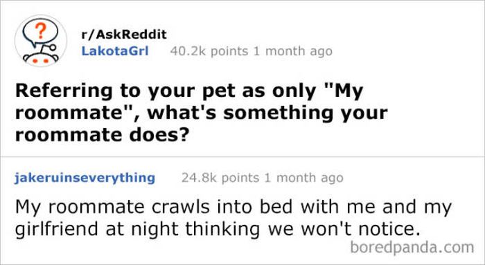 Funny Answers On Reddit (40 pics)