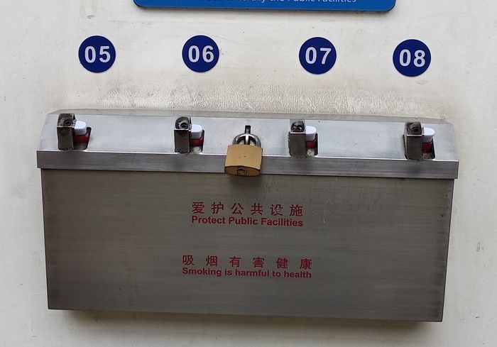 What is This? (3 pics)