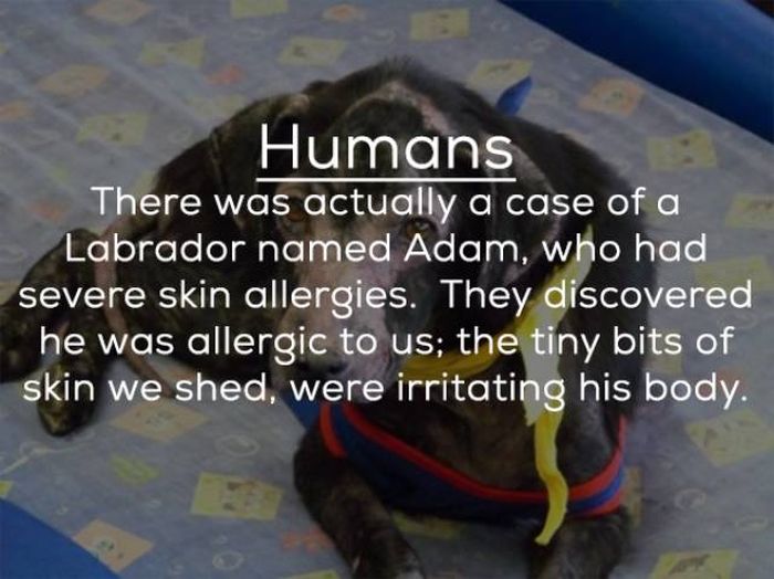 People Can Be Allergic To Anything (14 pics)