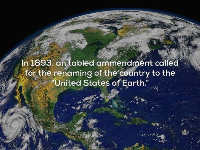 Facts About The USA (25 pics)