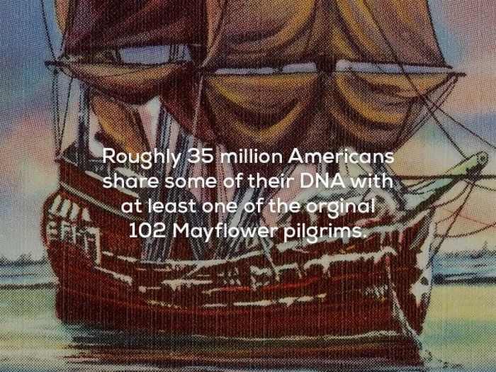 Facts About The USA (25 pics)