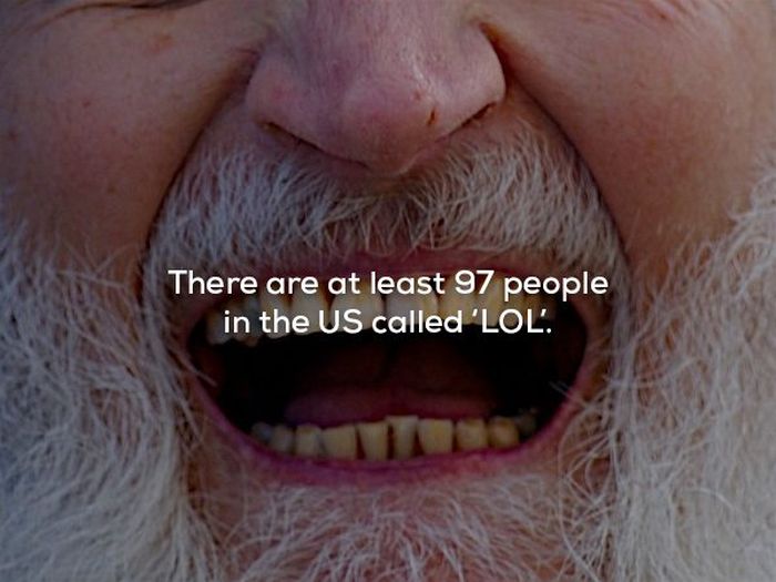 Facts About The USA (25 pics)