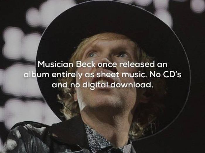 Facts About Music (25 pics)