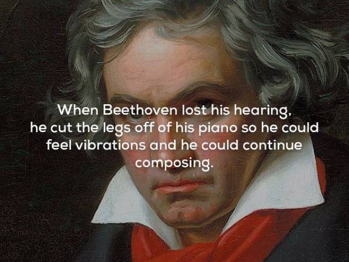 Facts About Music (25 pics)