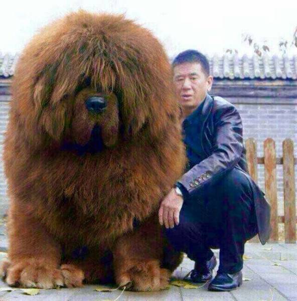 Acid Picdump (90 pics)