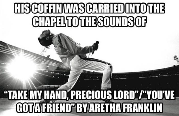 Facts About Freddie Mercury (37 pics)