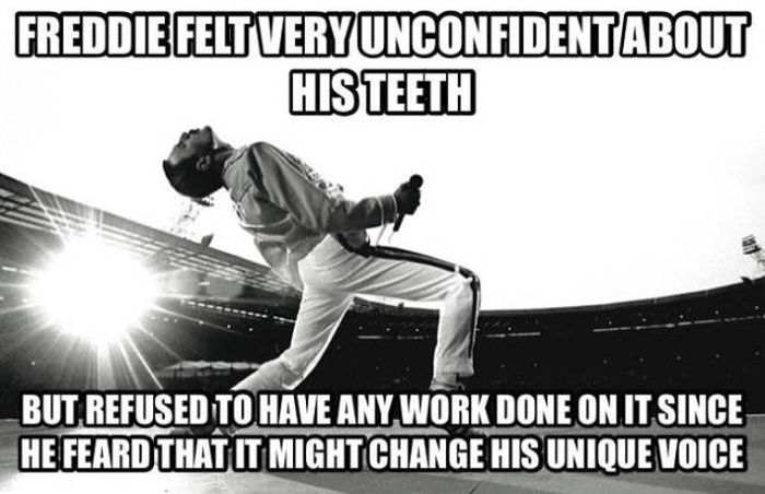 Facts About Freddie Mercury (37 pics)