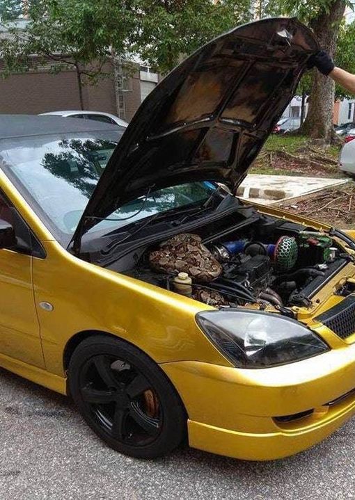 There is Something Scary In This Car (2 pics)