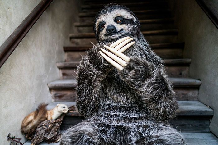Sloth Suit (4 pics)