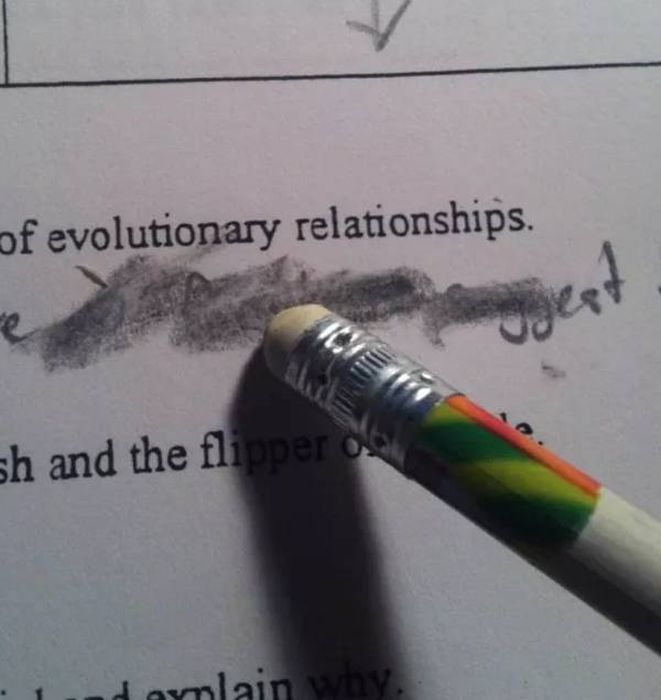 Things We Hate (28 pics)