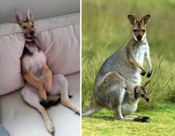 Interesting Coincidences (39 pics)