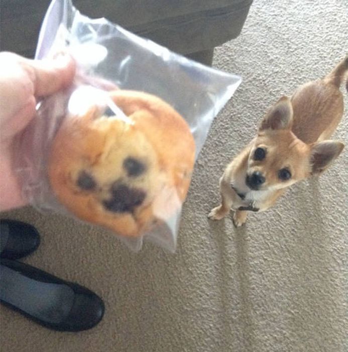 Interesting Coincidences (39 pics)