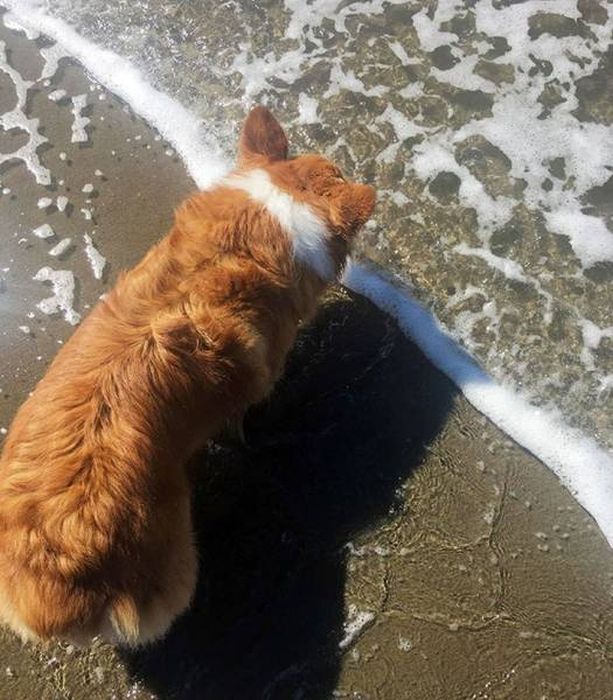 Interesting Coincidences (39 pics)