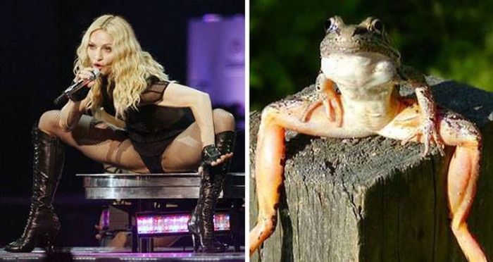Interesting Coincidences (39 pics)