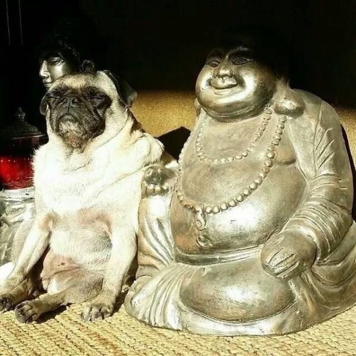 Interesting Coincidences (39 pics)