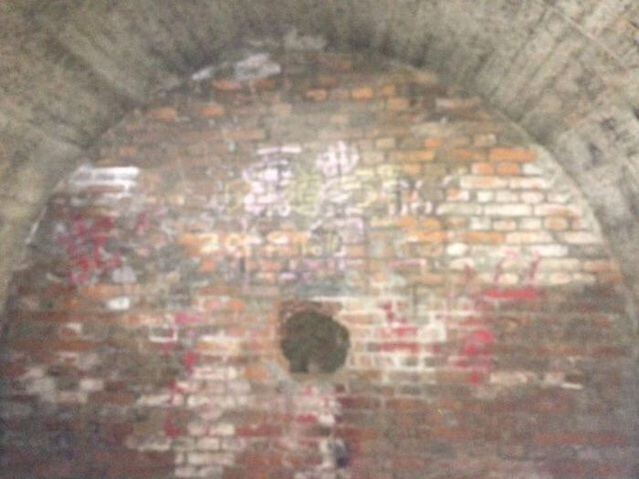 What's Inside An Old Well (25 pics)