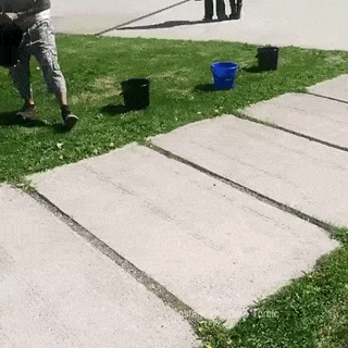 Acid Gifdump, May 25, 2018 (25 gifs)