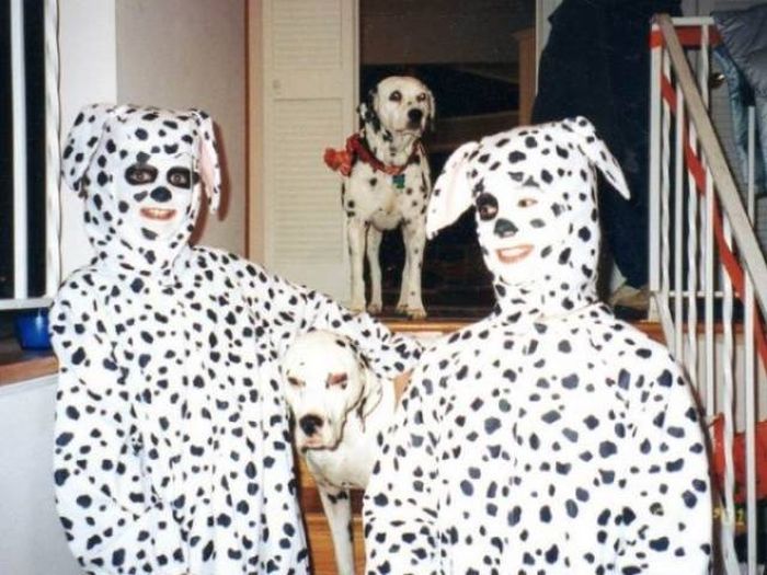 Funny Animals (60 pics)