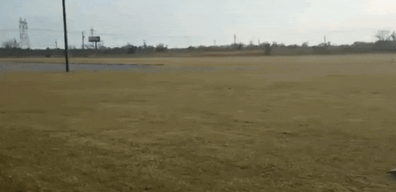These People Should Be Banned From Driving FOREVER (13 gifs)