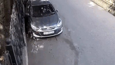 These People Should Be Banned From Driving FOREVER (13 gifs)