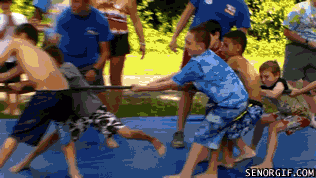 Acid Gifdump, May 28, 2018 (25 gifs)