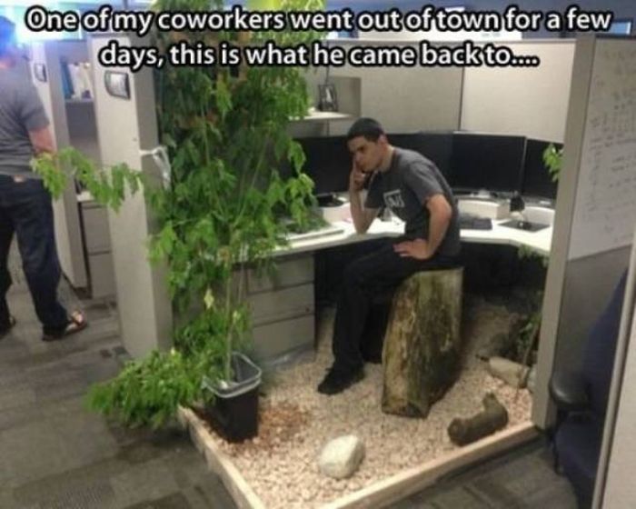 How To Have Fun At Work (41 pics)