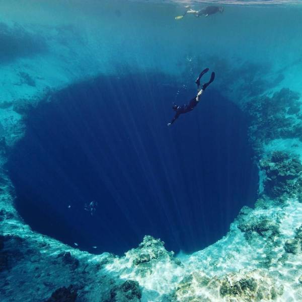 Acid Picdump (91 pics)