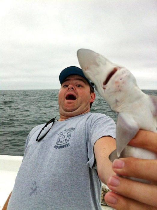 Acid Picdump (91 pics)
