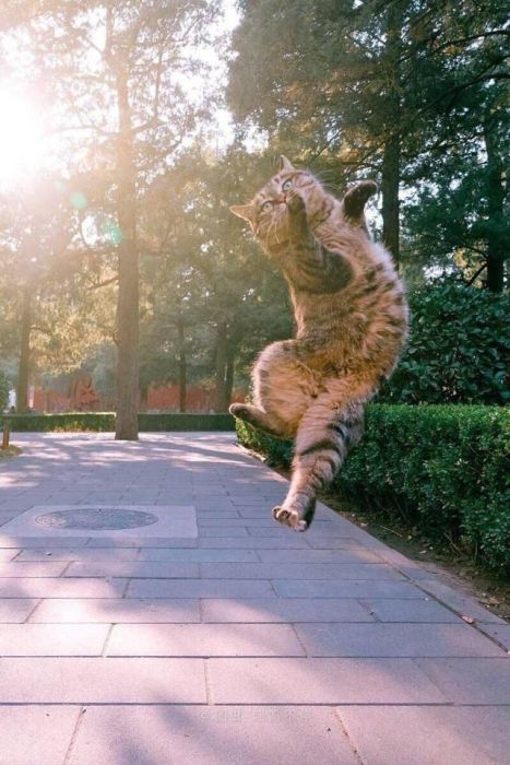 Acid Picdump (91 pics)