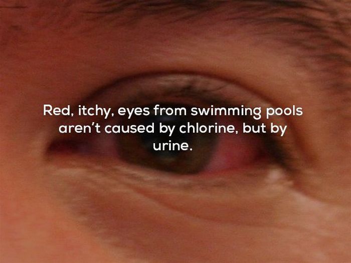 Very Scary Facts (22 pics)