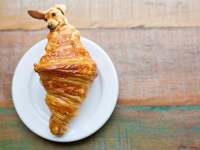 Dogs Photoshopped Into Food (20 pics)