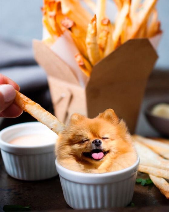 Dogs Photoshopped Into Food (20 pics)